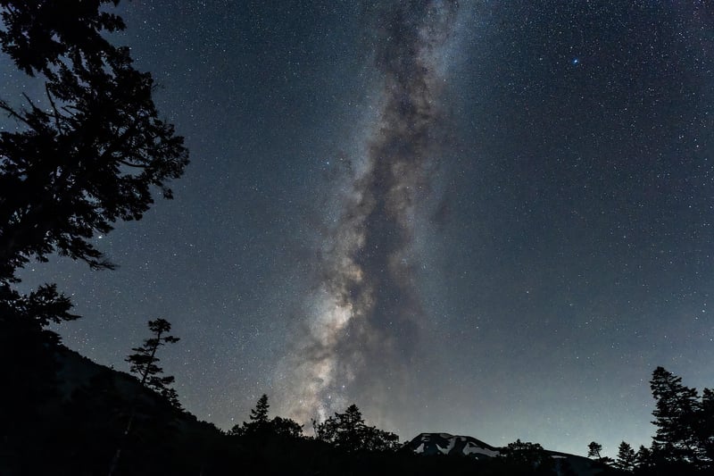 Celebrities under the stars